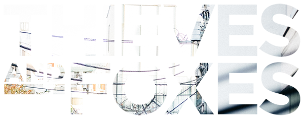 Thieves and Foxes